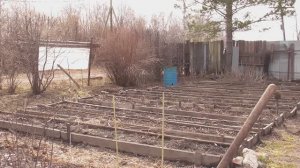 Дача. Тюмень. Апрель 2025 г.