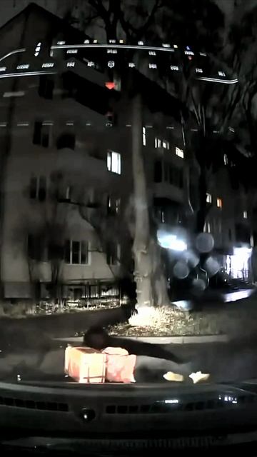 Откуда он мог прилететь