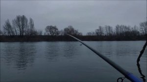 Рыбалка - прогулка на реке Дон, Боковой кивок, Мотыль, Недалеко от Моста, Мкр. Малышево , 27.11.2025
