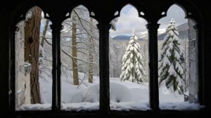 ЗИМА ❄️ЁЛКИ🌲 СНЕГ #фон #футажи #рутуб #видео