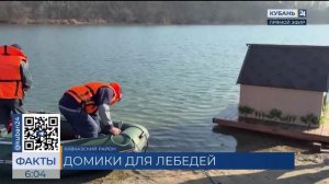 Домики для лебедей и уток установили на набережной в Кропоткине