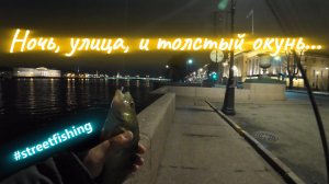 | Вечерний стрит фишинг| Ловим окуней в темноте | Clear Blue Crystar - 56 Finder |