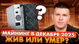 МАЙНИНГ В ДЕКАБРЕ 2025 | ЖИВ ИЛИ УМЕР?