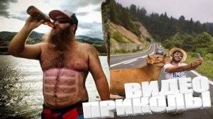 ТОПОВЫЕ ПРИКОЛЫ 2025 \ СМЕШНЫЕ ВИДЕОПРИКОЛЫ \ КАЧЕСТВЕННАЯ ПОДБОРКА ВИДЕОПРИКОЛОВ