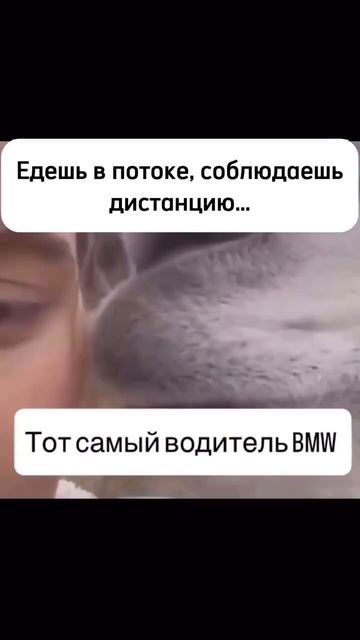 #202 || МЕМЫ || ПРИКОЛЫ || ЮМОР