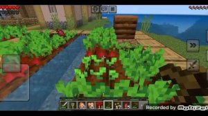 добро выше всего