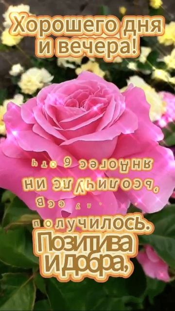 Замечательного дня и вечера! Have a wonderful day and evening! Подпишись и поделись. Спасибо!😘 смотреть онлайн