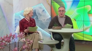 «Новое утро»: 2 декабря 2025 года