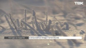 После потепления придут морозы: прогноз погоды на декабрь в Красноярске