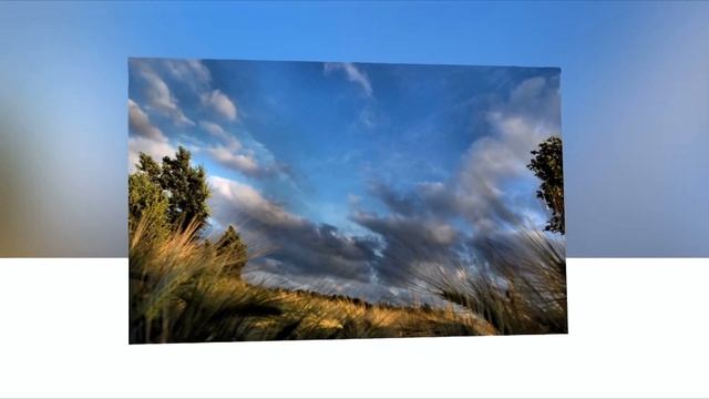 Stive Morgan - Polinesia