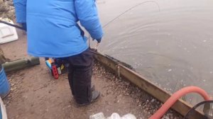 video5291892173917159052 (1)