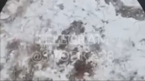 В школе села Большой Луг создадут кадетский класс — он начнет работу с нового учебного года