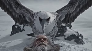 «ЦИКЛ. Хроники полёта до тишины | Авторская философия души»