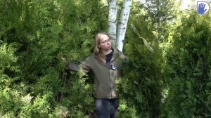 "ШАГ за ШАГОМ" № 1 - Создаем сад с Еленой Гончаровой. С ЧЕГО НАЧИНАЕТСЯ САД?