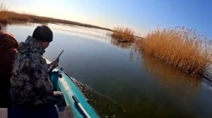 Рыбалка и Охота в ДЕЛЬТЕ РЕКИ ИЛИ! БОЛОТА ПОЛНЫЕ РЫБЫ! РЫБАЧИМ НА ДИКОМ ОСТРОВЕ СРЕДИ БОЛОТ!