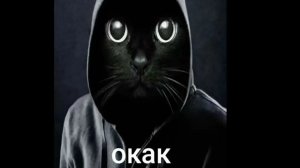 Окак. Заходи на стрим!