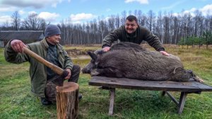 ЗАВАЛИЛ КАБАНА и УГОСТИЛ ДРУЗЕЙ. ХИЩНЫЙ ЗВЕРЬ ОБНАГЛЕЛ и БЫЛ НАКАЗАН! №368