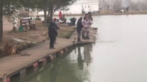 поимка форели на спиннинг