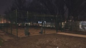 🎬 Ответ-предложение родным городам Назарово и Ачинску по решению вопроса с местом выгула животных