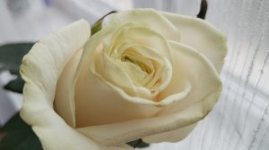 Влог 24-30.11.25 Сама себя не похвалишь никто не похвалит 😁