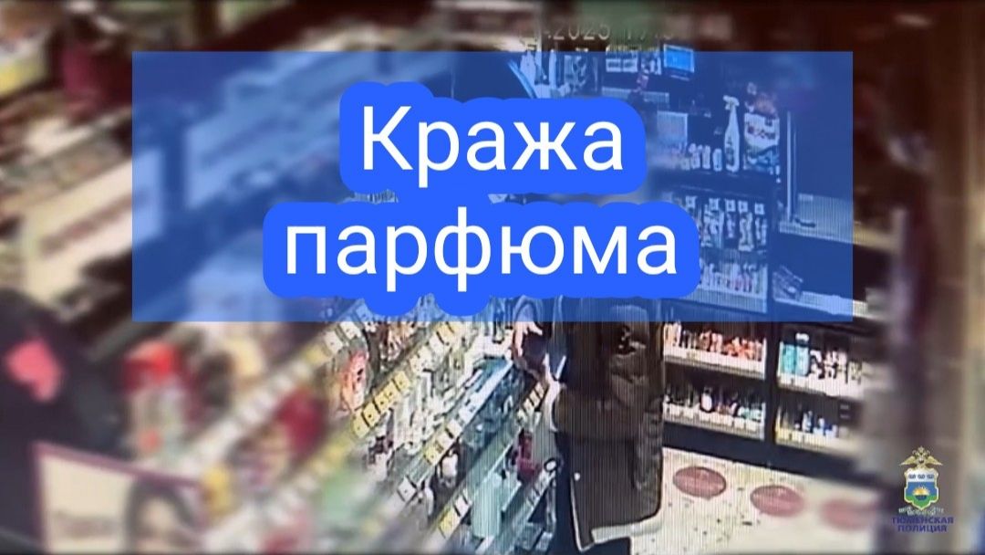 В Тюмени оперативники задержали подозреваемого в краже парфюмерии смотреть онлайн