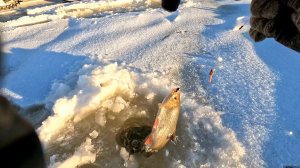 1 декабря 2025 г Рыбалка