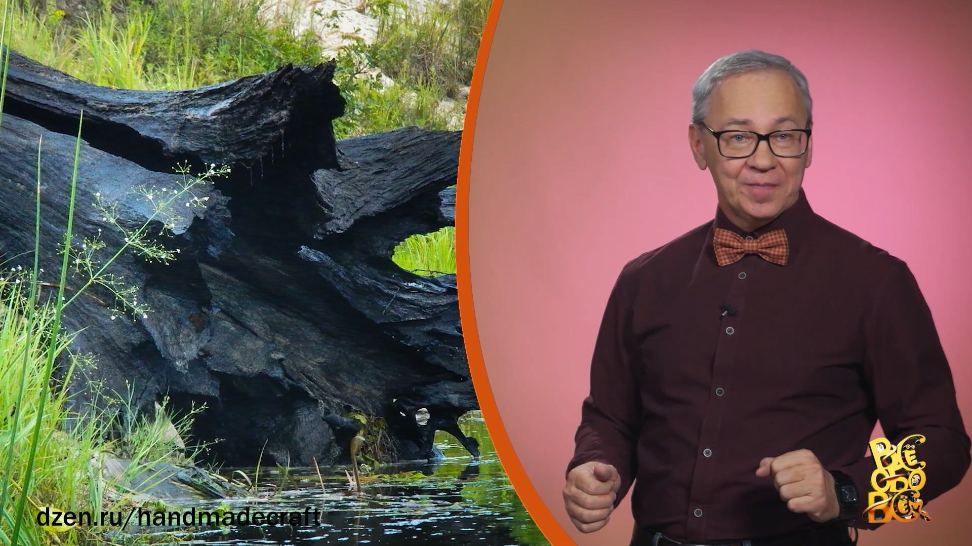 Всё обо всём. Морёный дуб. Выпуск от 01.12.25