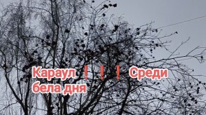 прогулка в Чижик и обратно