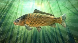 РР4 Медное (2 сезон, 5 серия)