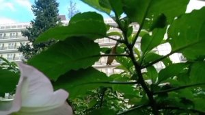 А У МЕНЯ ВСЕ́ ХОРОШО