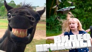 ВИДЕОПРИКОЛЫ \ КРУТЫЕ ПРИКОЛЫ 2025 \ НОВЫЕ ПРИКОЛЫ \ СМЕШНЫЕ ПРИКОЛЫ 2025 ЮМОР