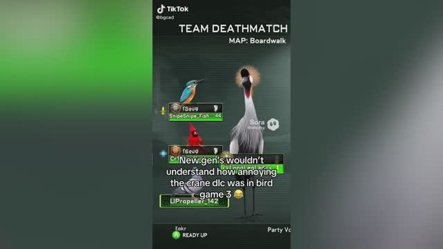 Bird Game игра года!