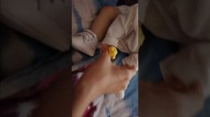 Влог /влог 🌿 с Евой/заплитаемся