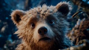 Мишка косолапый по лесу идёт.