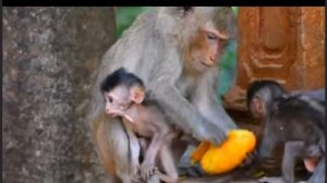 Достанется всем или избранным?1000042088.mp4