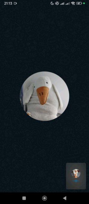 играем в укради, найдите брецнрот, вырасти сад, и в 99 ночей