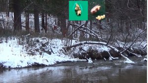 Мою Золото в золотоносной реке зимой!