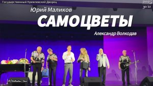 Кремлевский Дворец, группа САМОЦВЕТЫ, Юрий Маликов и специальный гость Александр Волкодав 30/11/25