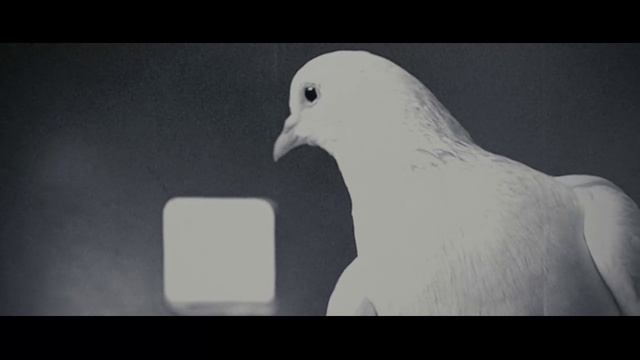 Определяющее действие (кф. Господин Никто)