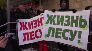 Жители Новосибирска опасаются за судьбу Инюшенского бора