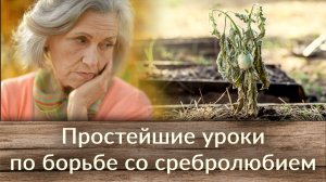 Простейшие уроки по борьбе со сребролюбием