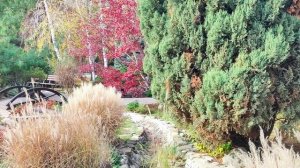 Анапа Золотые пески Ноябрь 2025 Часть 1