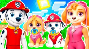 СКАЙ и МАРШАЛ РОДИЛИ РЕБЁНКА ДЕТЕЙ ЩЕНЯЧИЙ ПАТРУЛЬ в МАЙНКРАФТ PAW PATROL МУЛЬТИК