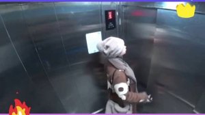 Прикол Лифт Алиса