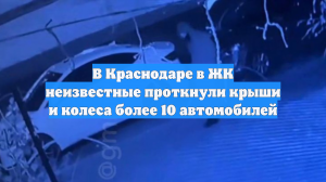 В Краснодаре в ЖК неизвестные проткнули крыши и колеса более 10 автомобилей