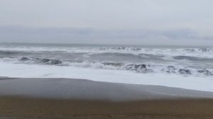 #1 декабря#2025#