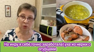 На икру себе я точно заработала! Уха из нерки с солёными огурцами