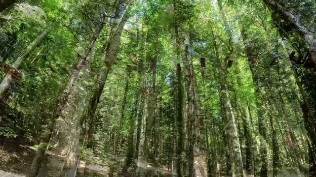 экстрим парк Гузерипль