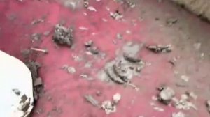 СВО👉ЖМИ (КАДРЫ 21+)👈