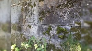 Крепостная стена или Уральские горы.